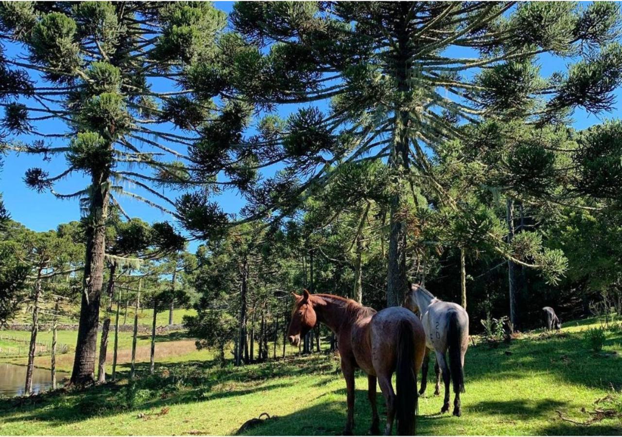Fazenda Santa Rita Turismo Rural Bom Jardim da Serra Exterior photo