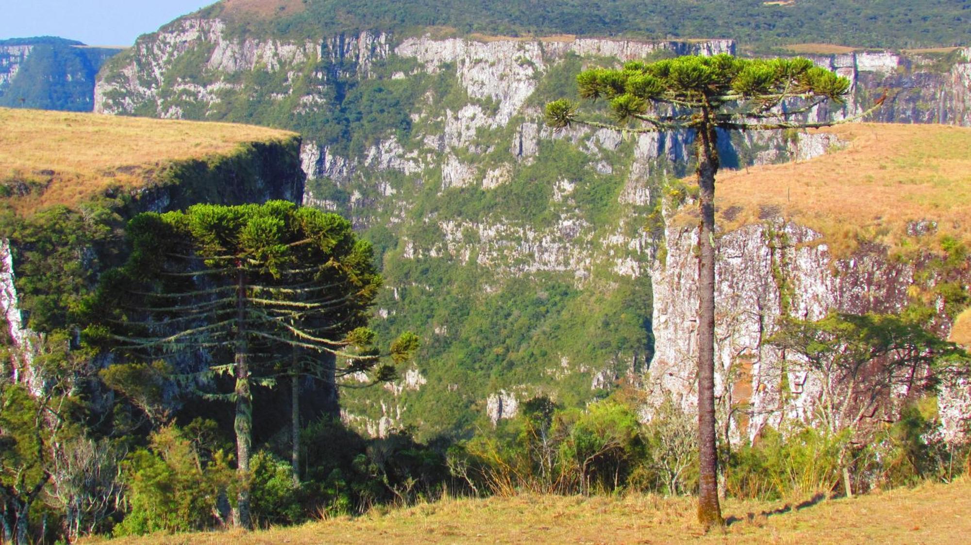 Fazenda Santa Rita Turismo Rural Bom Jardim da Serra Exterior photo